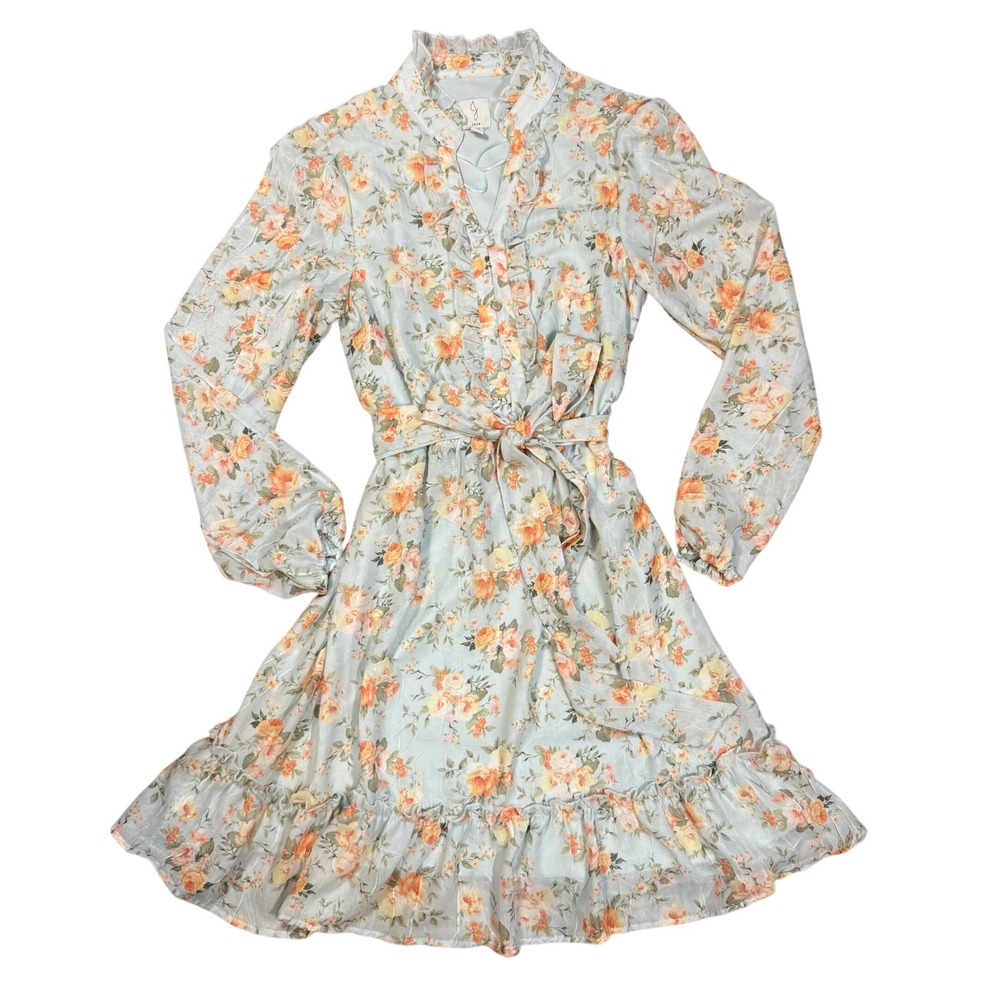Romantic Soft Girl Regencycore Floral Ruffle Mini Dress Rose Print Tie Waist S/P